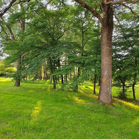 Gite De La Janiere Сент-Люс-Сюр-Луар Экстерьер фото